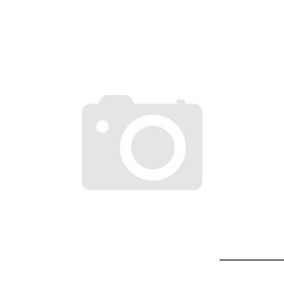 DTP-Soft - Bioethanol 96,6% Rein - Brennstoff - 30 Liter, geruchlos, Kanister